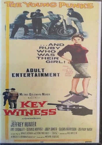 Key Witness DVD Read Description - 第 1/1 張圖片