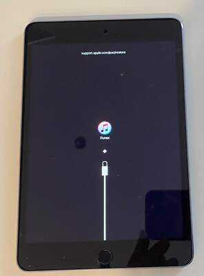 Apple iPad mini 4 128GB, Wi-Fi, 7.9in - Space Gray  MK9N2LL/A