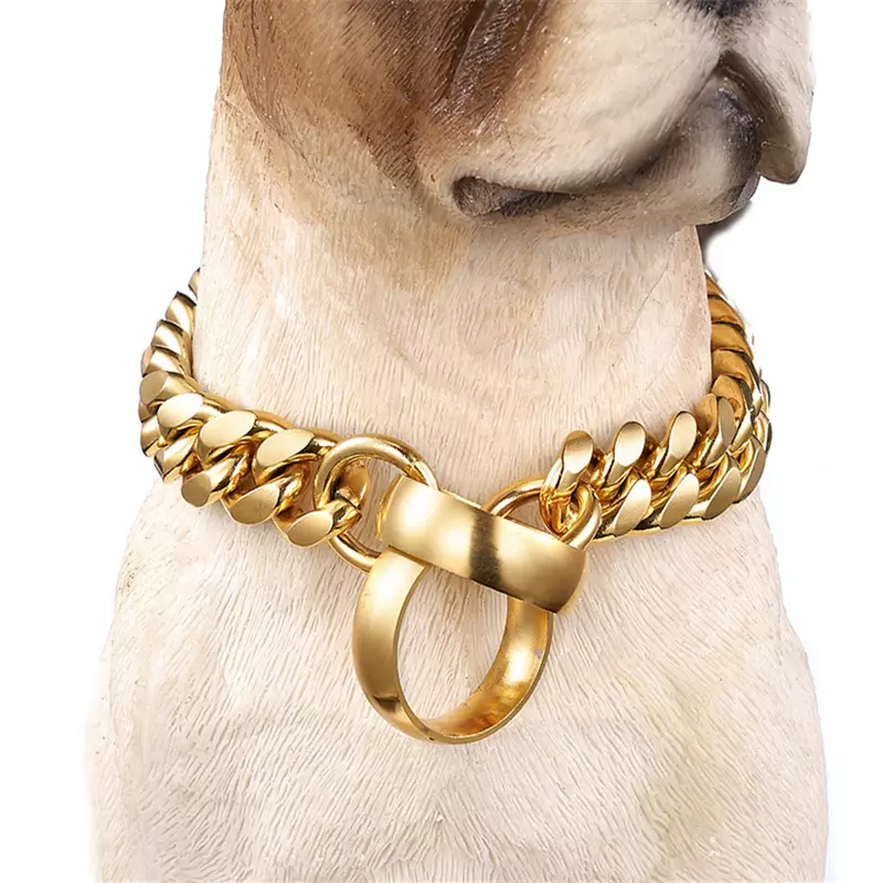 Stainless Steel Dog Collar Choker, Luxury Designer, Gold Pet Chain, Walking  and Traning Metal Necklace for Small and Medium Dogs