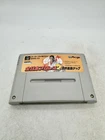 All Japan Pro Wrestling Dash Nintendo Super Famicom Import Tested US Seller