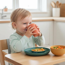 20 PCS Wheat Straw Dinnerware Sets Reusable Kids Toddler Plates and Bowls Sets