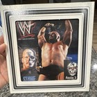 Carnival Glass Prize 8"x8" ~ 90s (Vintage) WWF Wrestling STONE COLD Steve Austin — photo 1