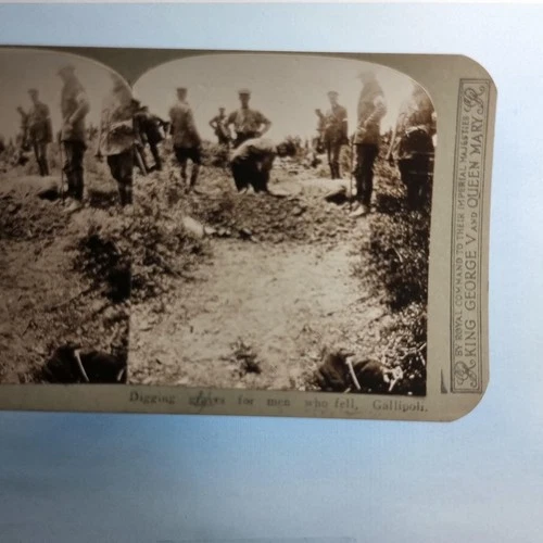 WW1 Military Stereoview C1916 Real Photo Turkey Gallipoli Grave Digging Detail