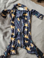 large dog dinosaur pajamas