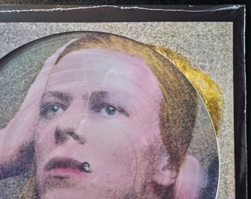 DAVID BOWIE,HUNKY DORY-NEW SEALED VINYL PICTURE DISC-GERMAN IMPORT  PARLOPHONE - Image 3 of 4