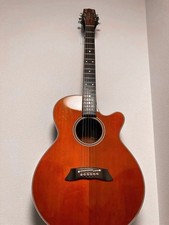 Takamine Acoustic-Electric Guitar With Genuine Case, Used