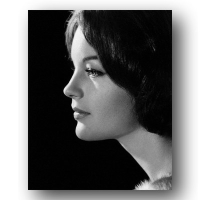 Romy Schneider Photo 8x10 Stunning Close Up Portrait Elegant Starlet-1