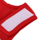 Foto 17 di 24