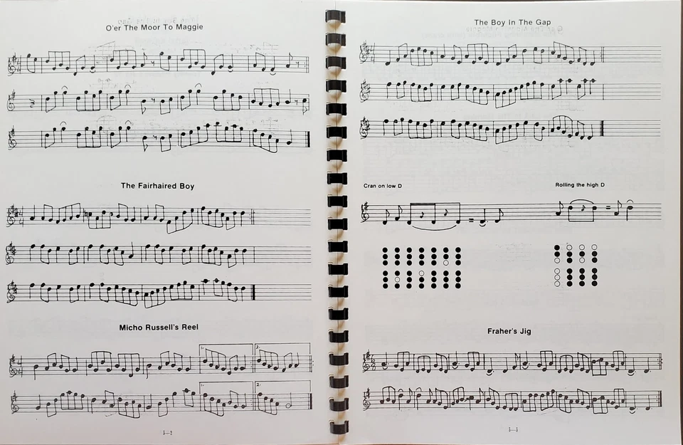 Irish Pennywhistle Lessons Songs Sheet Music Songbook - Image 4 of 4