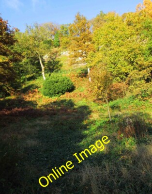 Photo 6x4 The northern end of Habberley Valley Nature Reserve, near Kidde c2013