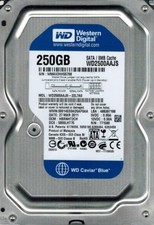 Western Digital WD2500AAJS-22L7A0 DCM: HBRNHT2CH 250GB