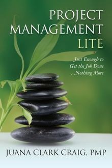 Project Management Lite: Just Enough to Get the Job... | Buch | Zustand sehr gut