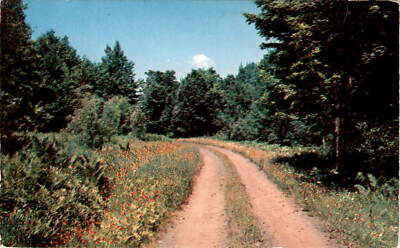 RALSTON, PENNA, COUNTRY ROAD, Camera Clix, Plastichrome, Postcard