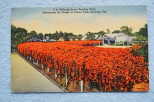 Orlando Lawn Bowling Club - Hedge of Flame Vine - Orlando, Florida