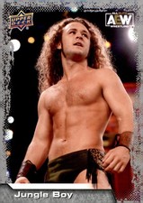 2022 Upper Deck AEW #20 Jungle Boy
