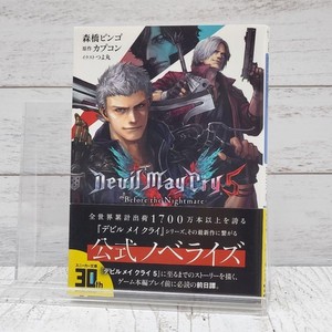 Devil May Cry Novel | eBay