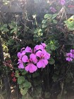 Bild 2 von 5