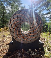 ToruShield PEMF Coil (22.8cm): This is PEMF, ...