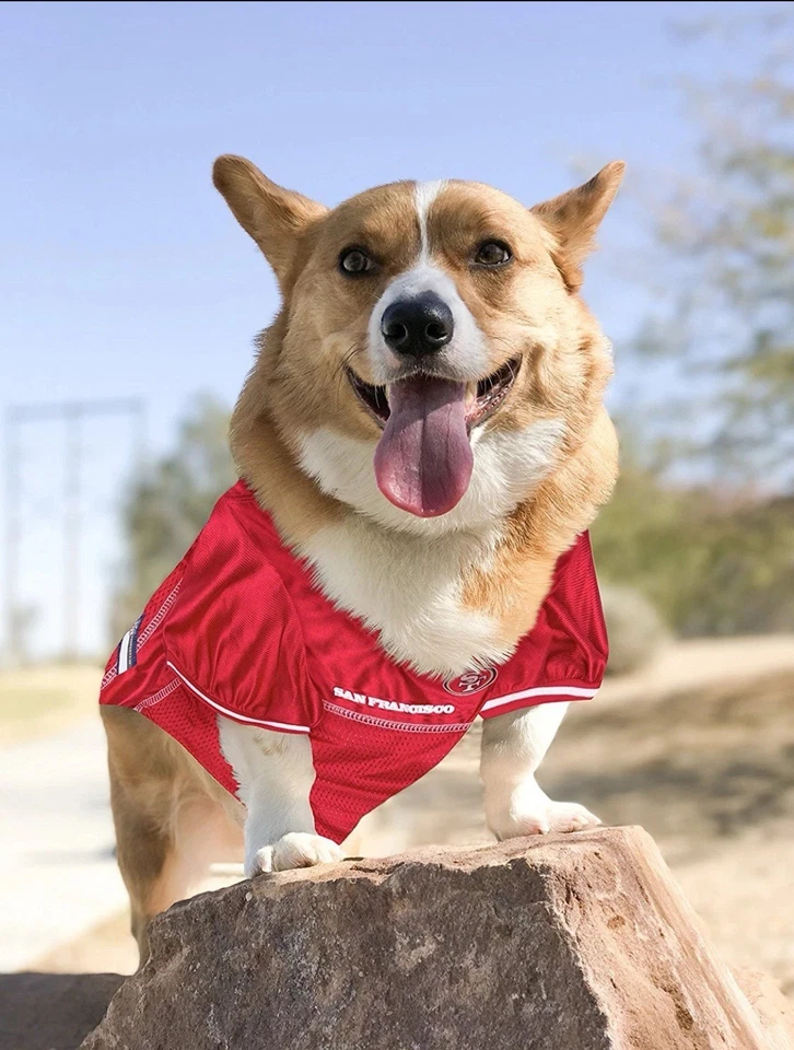 Camiseta Pets First NFL licenciada para cães e gatos San Francisco 49ers tamanho MÉDIO - Imagem 2 de 4