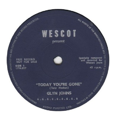 Glyn Johns - Today You're Gone (7'', Single, Promo)