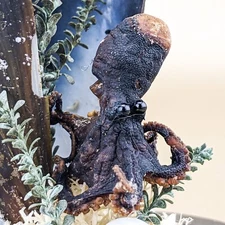 Octopus display collectible dome Taxidermy Oddities Curiosities Nautical gift