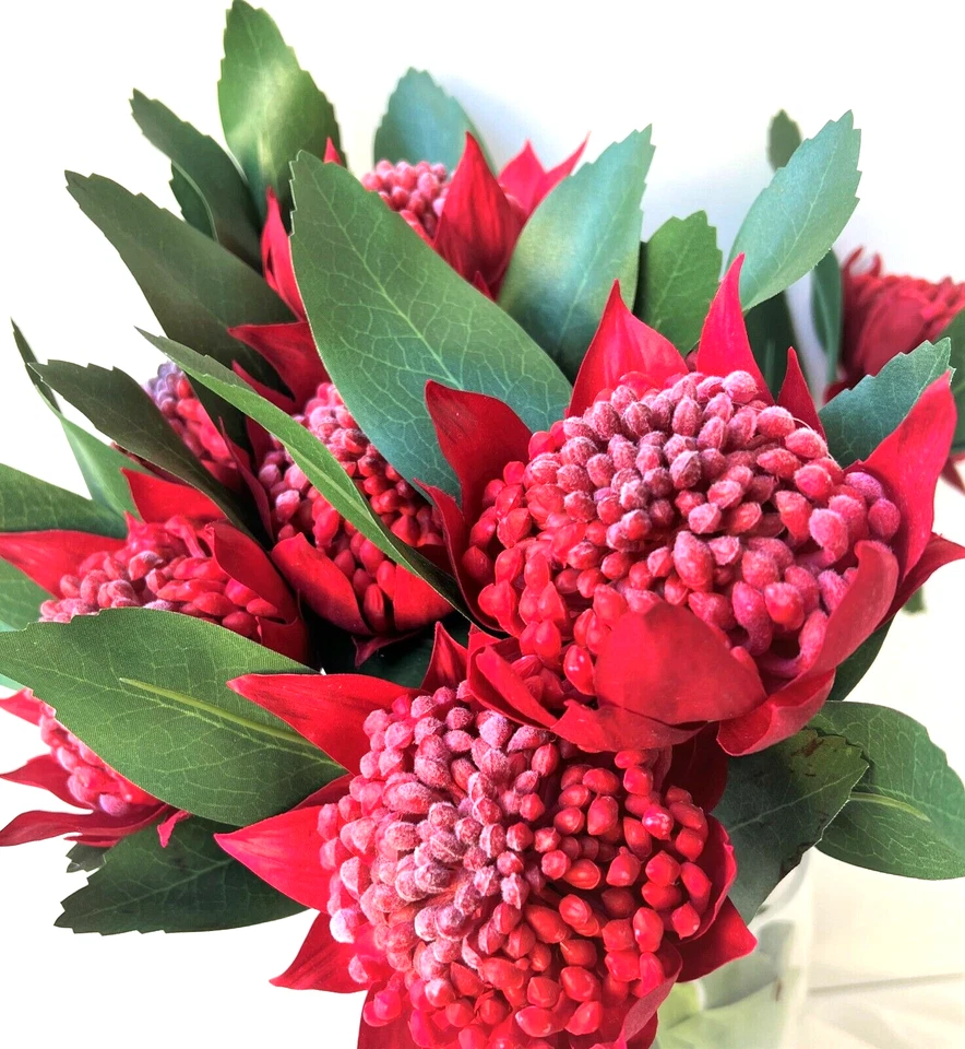AUSTRALIAN NATIVE FLOWER RED WARATAH STEM ARTIFICIAL FLOWER LATEX FLOWERS X 1