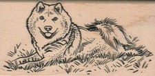 Dog In Grass Rubber Stamp 2 1/4 x 4 1/4", Cute Dog, Dog Stamp, Beautiful Dog