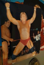 mr wonderful paul orndorff Signed 8x10 Wwe Wwf Photo.  Proof Shown Exact 