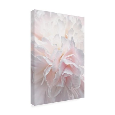 Wrapped Canvas Wall Art - Cora Niele 'Pink Peony Petals IV' Wall Art for Livi...