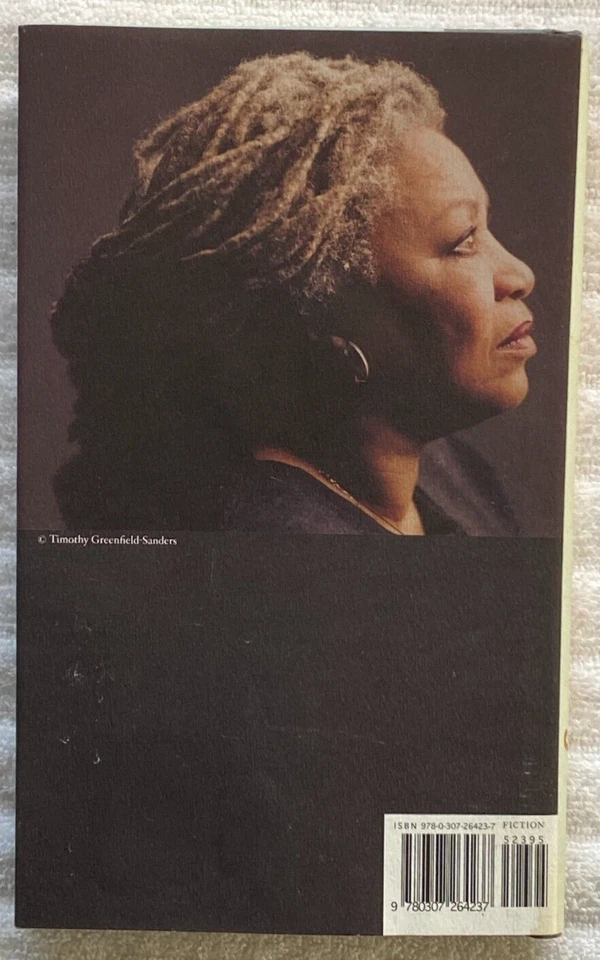 TONI MORRISON "A Mercy" HC/DJ '09 Stated 1stEdition KNOPF * Strong "Good" Copy! Foto 2 de 4