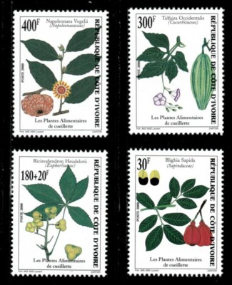 Ivory Coast 2000 - Fruit Plants, Gathering - Set of 4v - Scott 1060-63 - MNH