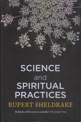Science and Spiritual Practices: Reconnecting through direct experience. Sheldra