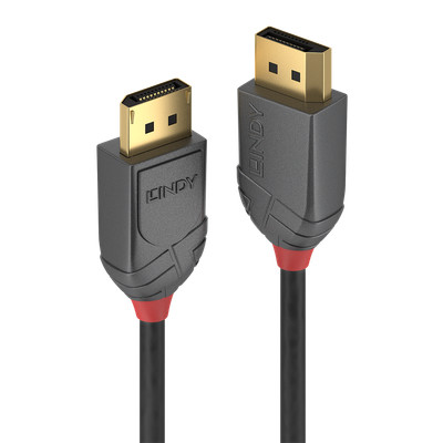 LINDY - 41078 cavo DisplayPort 10 m Nero