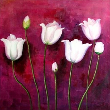 Stretched, Quality Hand Painted Oil Painting, White Parrot Tulips, 30x30in