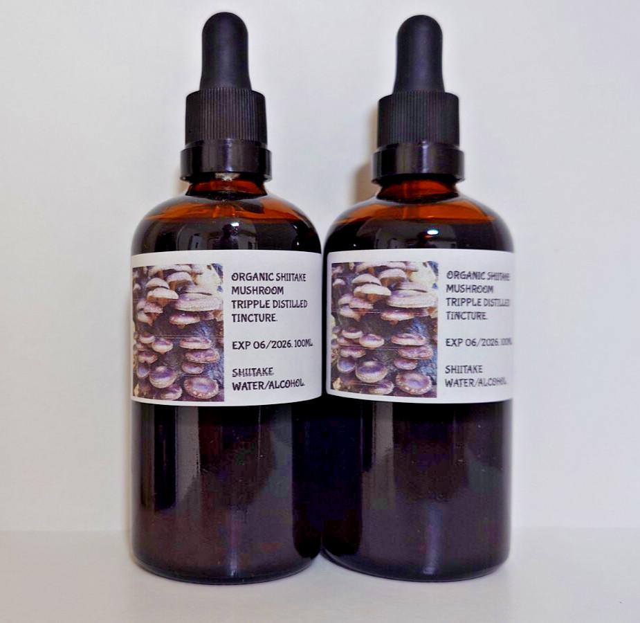Tintura triple destilada de hongo Shiitake orgánico natural 100 ml. Alta resistencia