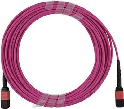FO MPO OM4 Trunkkabel 12-adrig 20 Meter Typ B