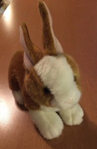 miyoni bunny