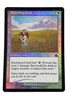 Flowering Field Propechy FOIL MAGIC the Gathering MTG CARD Vintage
