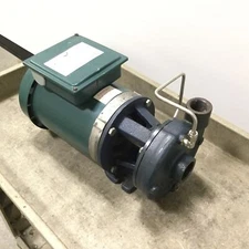 Price Pumps CD100BF-350-21216F-75-36-3T6 Centrifugal Pump, 1-1/4" NPT, 1" NPT