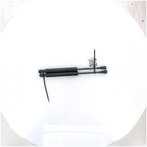 Haubenheber - BMW X5 I - Grau - 51238402551 - X0-6470F