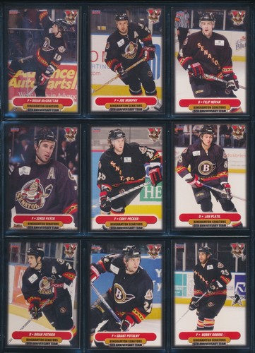 2006-07 to 2015-16 Choice Binghamton Senators AHL Team Set Single Cards - U PICK - Picture 37 of 194