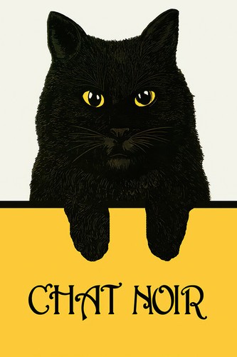 Beautiful Black Cat Chat Noir France French Fine Vintage Art Wall Poster x30 Ebay