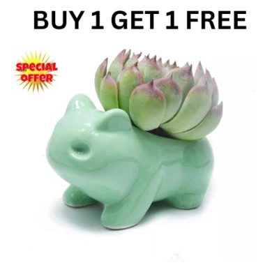 Pokemon Planters Flower Pot DIY mini Binoster Pots Home Decorative Ceramic UK