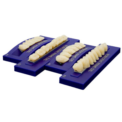 6pc/Card Prime Dental Acrylic Resin False Teeth Denture Upper Anterior A Shades
