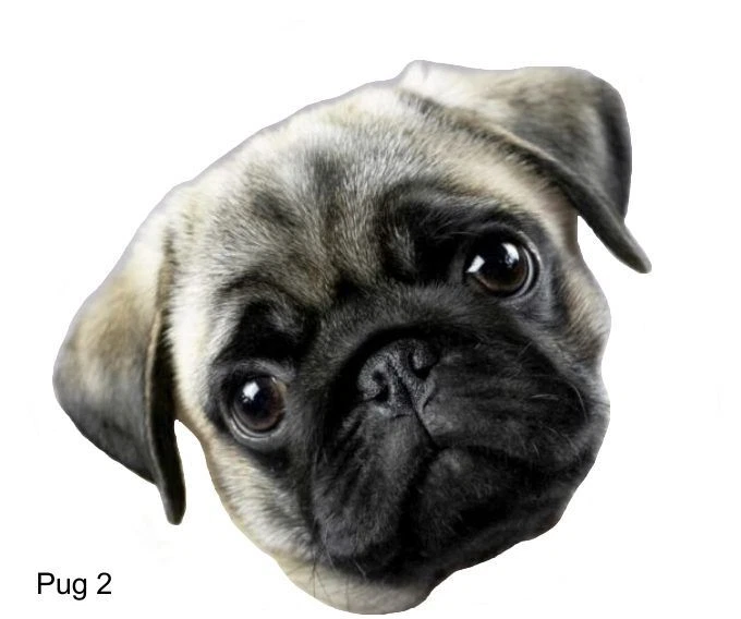 LARGE-SIZED CAR DECALS - PUG - 2 CHOICES - Image 2 of 3