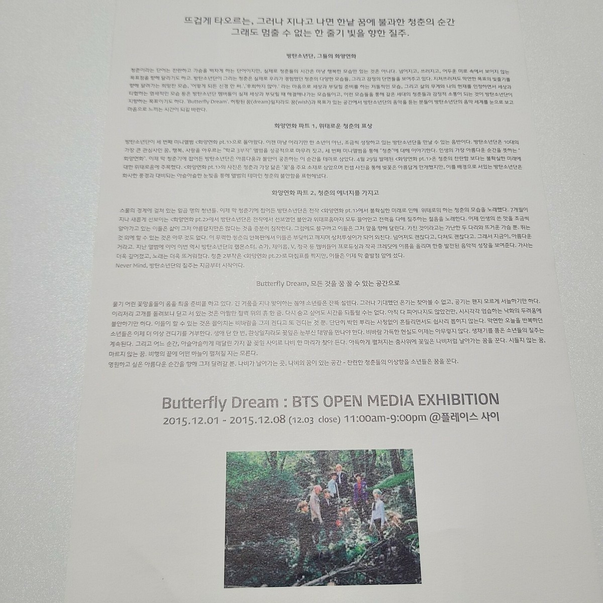 BTS Butterfly Dream バタフライ ドリーム ジョングク BTS Butterfly Dream Exhibition Official Live Photo Jungkook