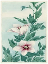 7804.Decoration Poster.Home Room wall interior art design.Japanese flower decor