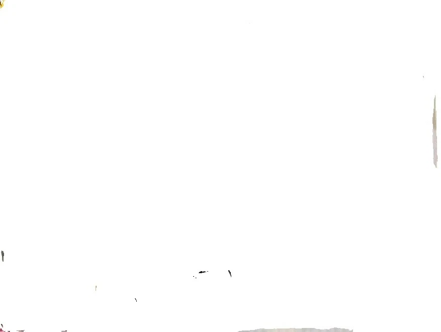 Bella Grills&Griddle Pans