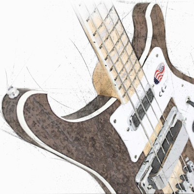 Rickenbacker Bass Guitar Canvas / Poster 3 Sizes Yes Chris Squire