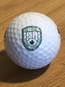 Hillsdale Golf And Country Club Souvenir Golf Ball